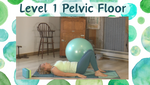 Pelvic Floor Video Series - Downloads