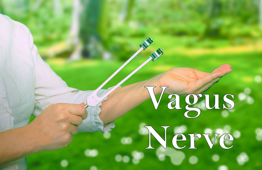 Stimulate the Vagus Nerve & Reduce Stress - Using a Tuning Fork